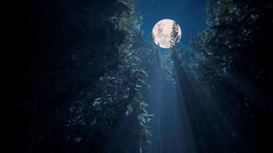 La luna tra i rami