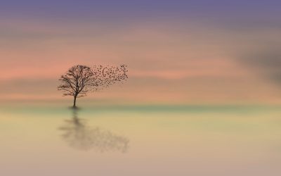 Le difficoltà e le limitazioni del kanji 困 : un viaggio tra nuove possibilità interpretative
