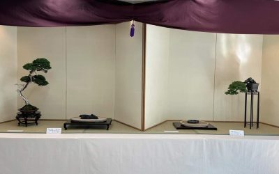 Zenkoku Suiseki Ippinten