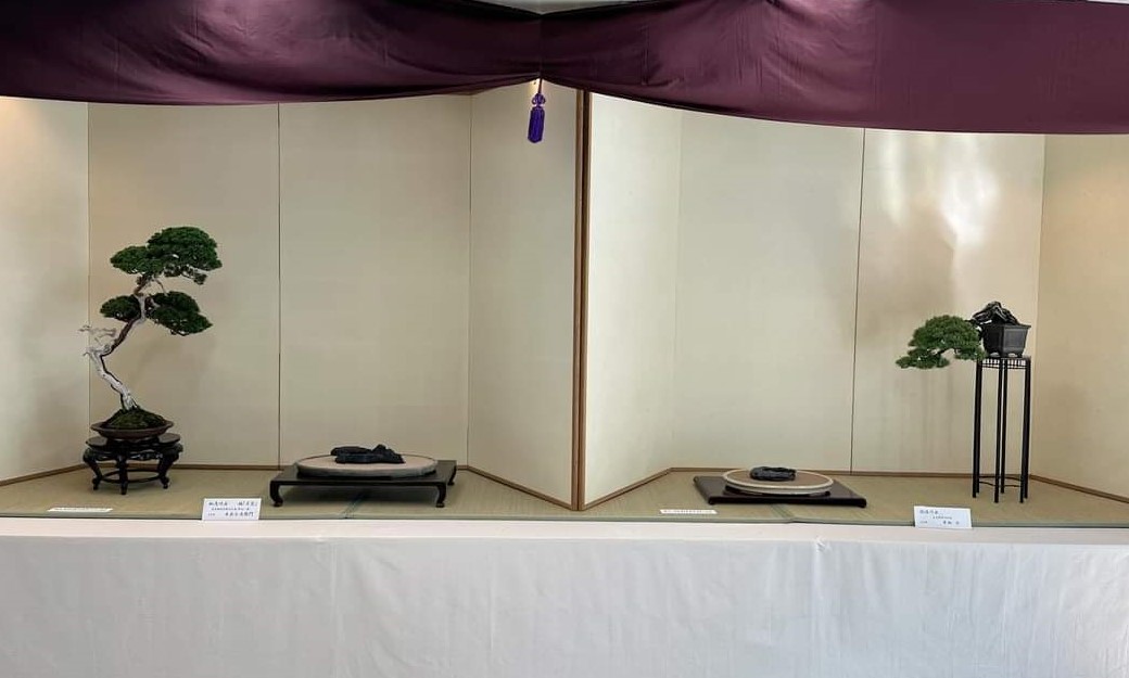 Zenkoku Suiseki Ippinten