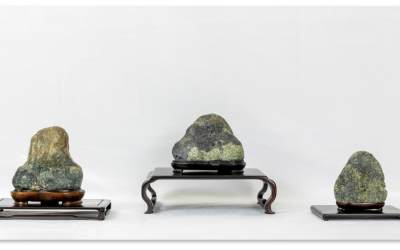Suiseki Stories — Comunicato Stampa