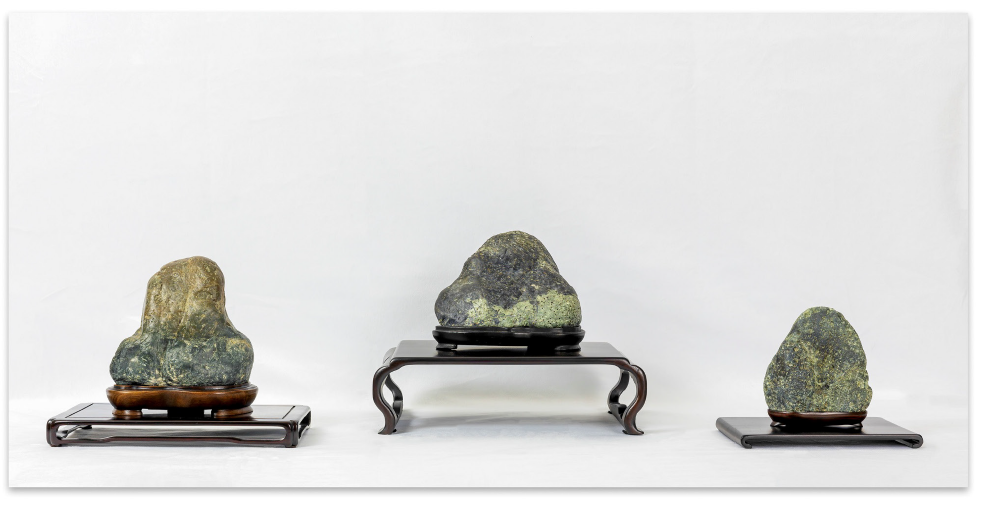 Suiseki Stories — Comunicato Stampa